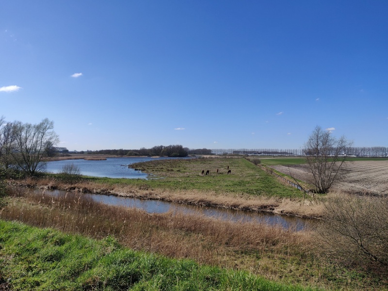 Afbeeldingslocatie: https://tweakers.net/i/2CRv7z-2VhZ6UDGdP_H3eg8ZJlc=/800x/filters:strip_icc():strip_exif()/f/image/dz9c7jJQnMvRYMkLLkSDxHl3.jpg?f=fotoalbum_large