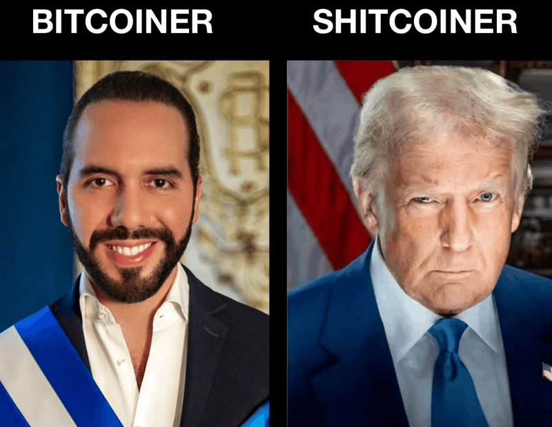 Afbeeldingslocatie: https://tweakers.net/i/2CmJ0VQlNMfkP30x8t4NED96h4o=/800x/filters:strip_exif()/f/image/VL9Zru7VCDFBIyrwY1kjyenw.png?f=fotoalbum_large