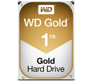 ACTi WD Gold 1TB