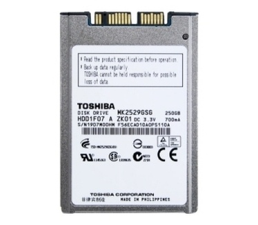Toshiba MK2529GSG  250GB Zilver