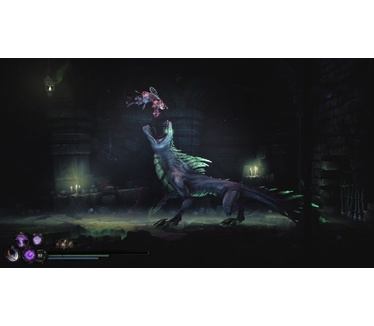 Mandragora: Whispers of the Witch Tree - (Xbox Series X)