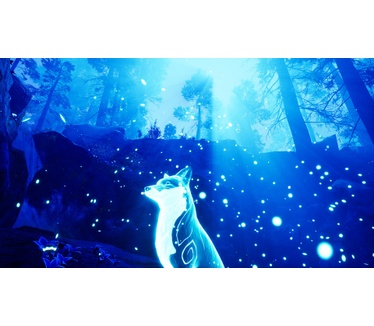 Spirit of the North - Enhanced Edition