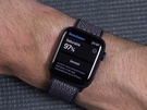 Apple Watch screenshots