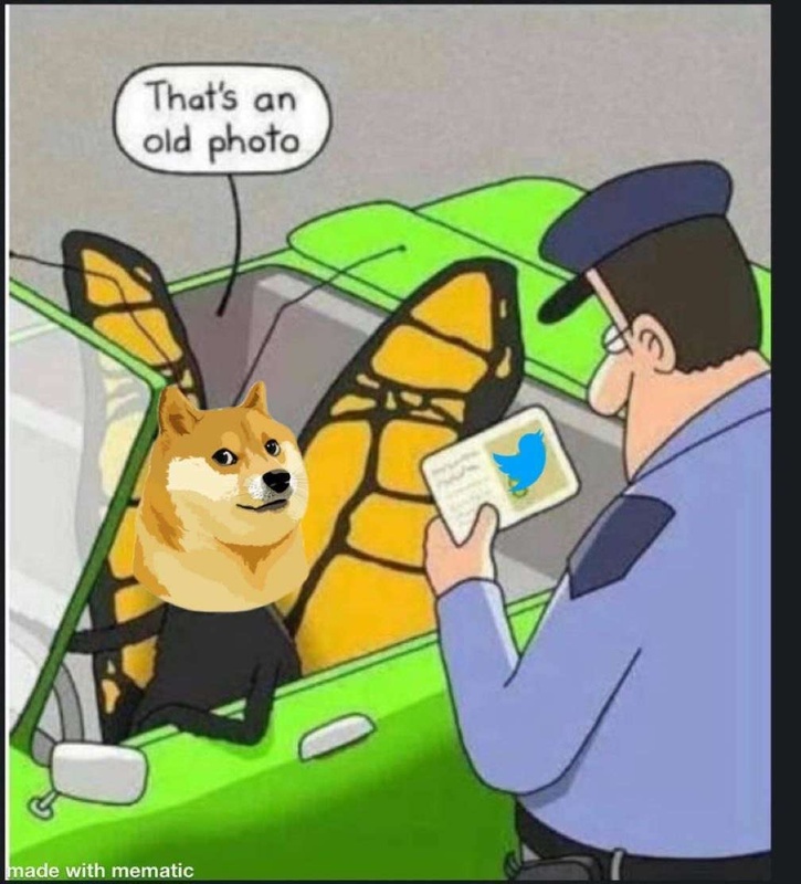 Afbeeldingslocatie: https://tweakers.net/i/2HTfdcAN_B0Vqiah7QbF3-H3XW4=/x800/filters:strip_icc():strip_exif()/f/image/ZHFexlxQkeyXpb646t6mBPyk.jpg?f=fotoalbum_large