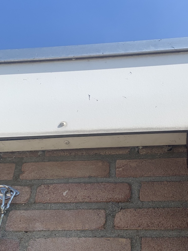 Afbeeldingslocatie: https://tweakers.net/i/2JEjxX6NcHXKKvqqBRYAvV2oq68=/x800/filters:strip_icc():strip_exif()/f/image/QnoUfX5hHDqX1QE9xgGhfykX.jpg?f=fotoalbum_large