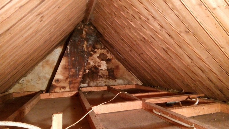 Afbeeldingslocatie: https://tweakers.net/i/2LBiqOCdhjnsXZ9W8r48mmwi6I0=/800x/filters:strip_icc():strip_exif()/f/image/gaeu22yvQb8ZoCR4PFwM0mEC.jpg?f=fotoalbum_large