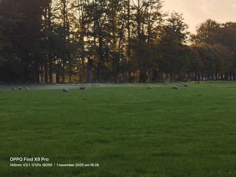 Afbeeldingslocatie: https://tweakers.net/i/2Mwffye0k4H7A9r5ZHkZdaeRHS8=/800x/filters:strip_icc():strip_exif()/f/image/3orlV3N10qm3H2NsPKGmUQJr.jpg?f=fotoalbum_large