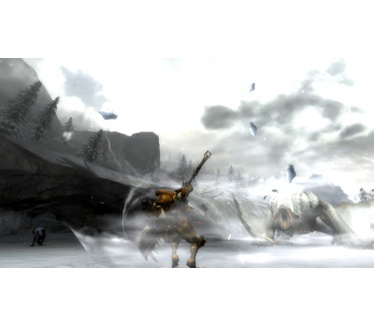 Monster Hunter Tri