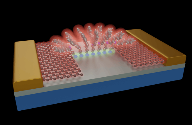 moleculaire brug grafeenelektroden
