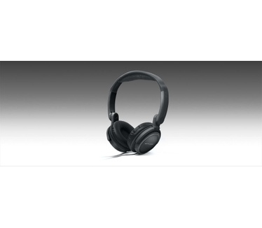 Muse M-190 CF