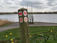 Phone 4a Pro cameratest - 2x zoom