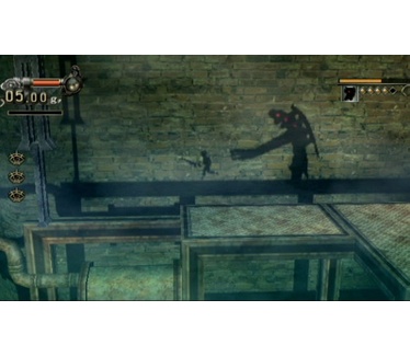 A Shadow's Tale