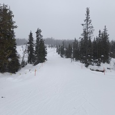 Afbeeldingslocatie: https://tweakers.net/i/2bPc00CHHjKqeOpv7ESF4Ue49as=/232x232/filters:strip_icc():strip_exif()/f/image/52KGRNnzOKHMtWlUW4hoE3uX.jpg?f=fotoalbum_tile