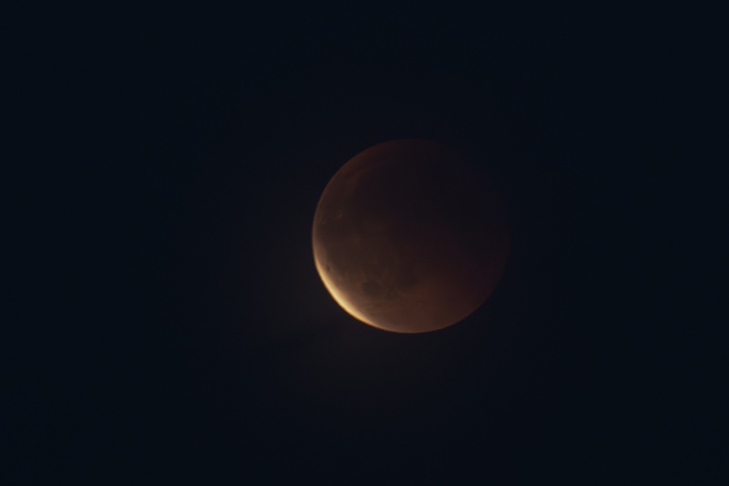 Afbeeldingslocatie: https://tweakers.net/i/2bcLVHiZcMsP7kvqpDDlwk2q_PQ=/800x/filters:strip_icc():strip_exif()/f/image/SR9rPuKXNeSCWI8ormhZZZao.jpg?f=fotoalbum_large