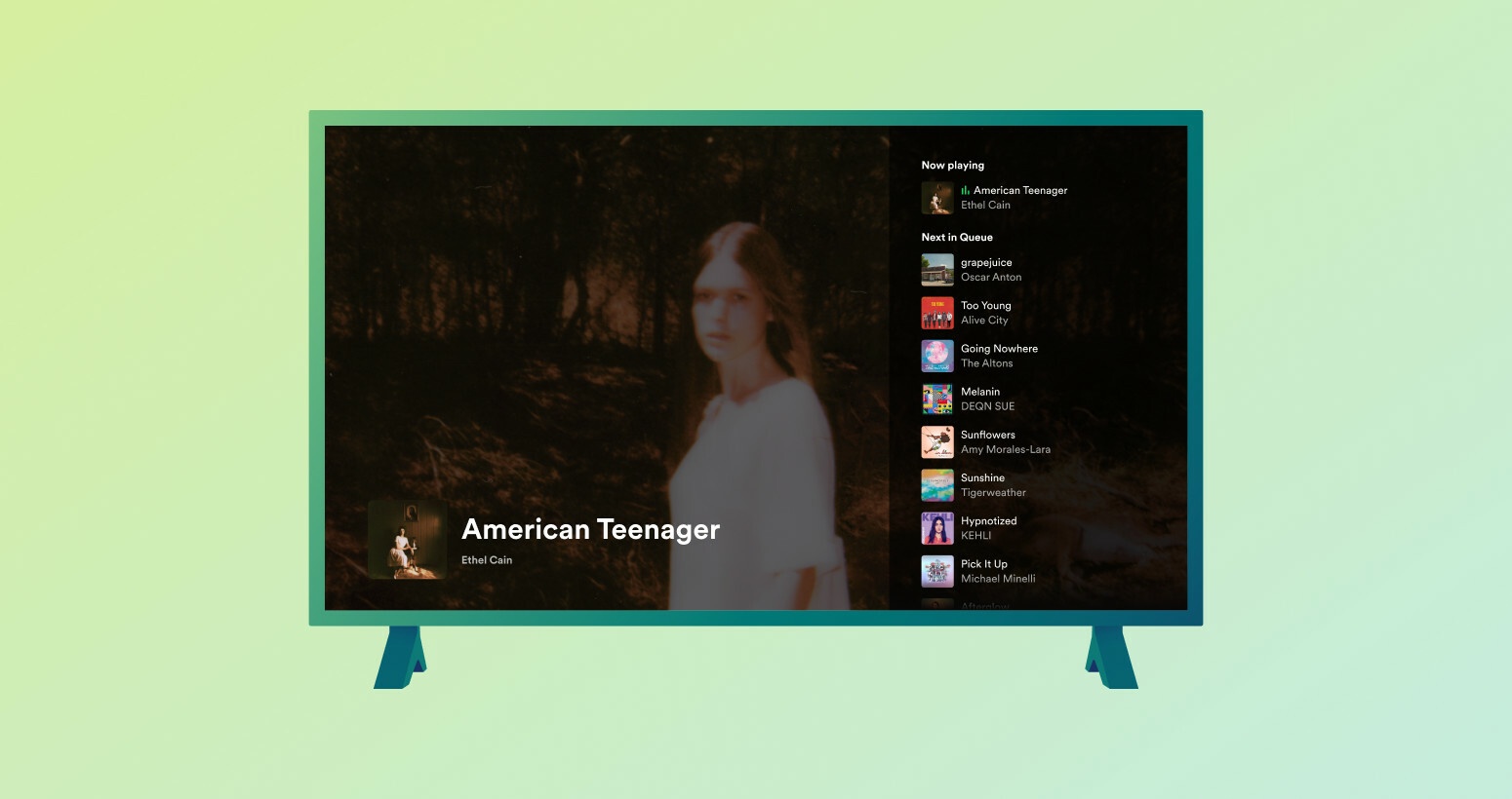 Spotify tv store
