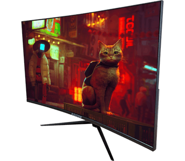 27" RAIDER 165Hz CURVED PRO GAMING Zwart