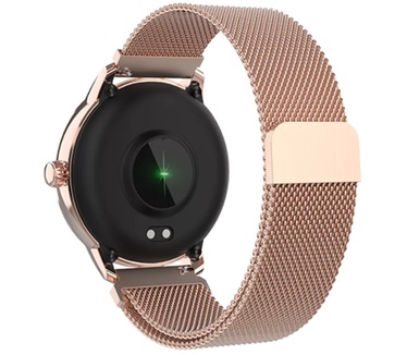 Denver SW-360RO rose