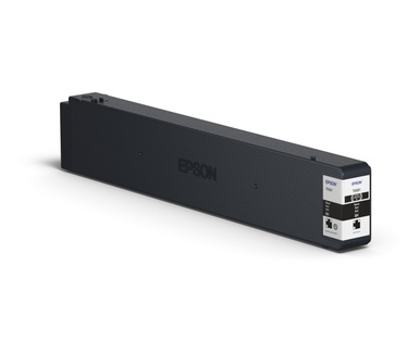 Epson C13T858100