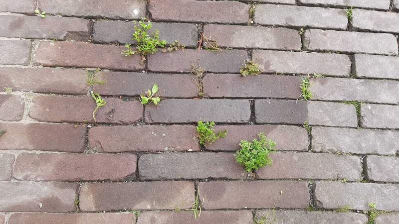 Afbeeldingslocatie: https://tweakers.net/i/2oWZ3nvmRzVxiit0Yv8vJ1b18Ss=/800x/filters:strip_icc():strip_exif()/f/image/g3euJGCiRcRAwro6SLMFAXDk.jpg?f=fotoalbum_large