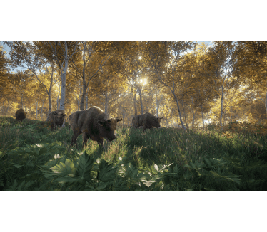 theHunter: Call of the Wild, PC