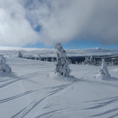 Afbeeldingslocatie: https://tweakers.net/i/2pZ8zeOTMbPvpfKmbNoJPgzT_GE=/232x232/filters:strip_icc():strip_exif()/f/image/nBXx3C0FvjjaOQtHm0b56tJG.jpg?f=fotoalbum_tile