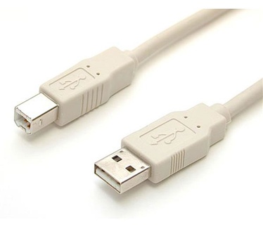 Startech.com 91 cm Beige A naar B USB 2.0 kabel M/M
