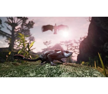 Away: The Survival Series
