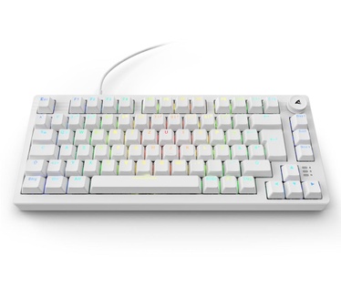 Sharkoon SGK25
