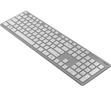 ASUS W5000