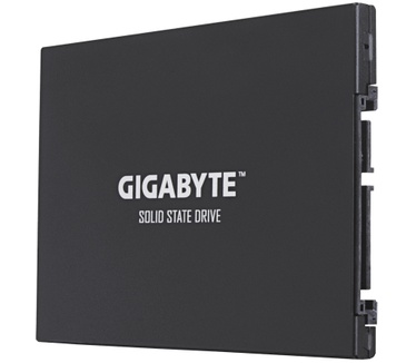 Gigabyte UD Pro 256GB