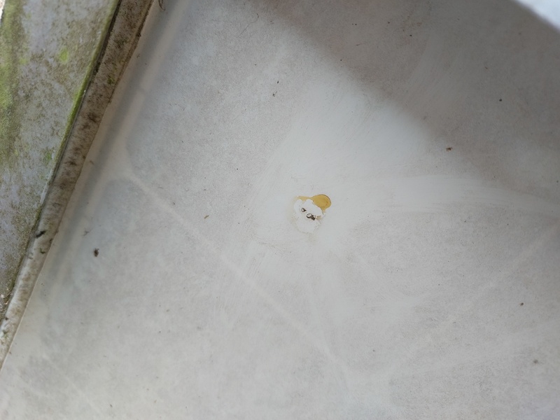 Afbeeldingslocatie: https://tweakers.net/i/2uDLjtZHtZHj0wmfaSyKJ_8XrDo=/800x/filters:strip_icc():strip_exif()/f/image/W1NrmCNTOlnMUtUKAocvzMdd.jpg?f=fotoalbum_large