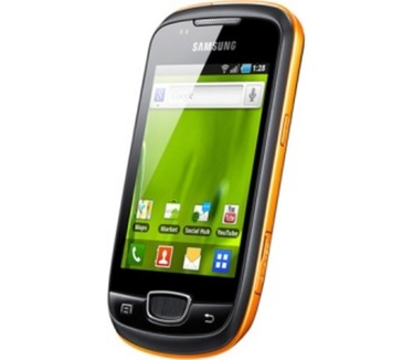 Samsung Galaxy Mini S5570 Grijs