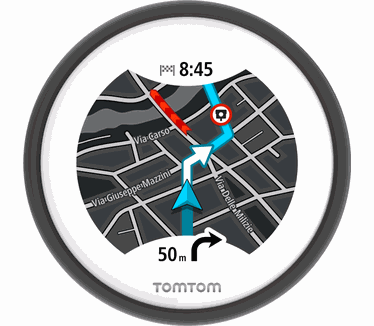 TomTom VIO