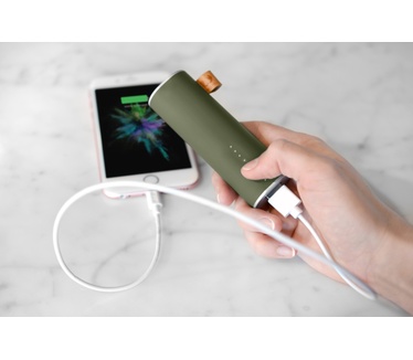 Fresh 'n Rebel Powerbank 3000mAh Groen