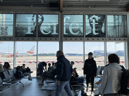 Voorbeelden van toepassingen van VideowindoW