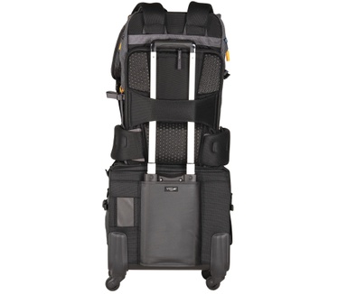 Vanguard VEO ACTIVE46 GY
