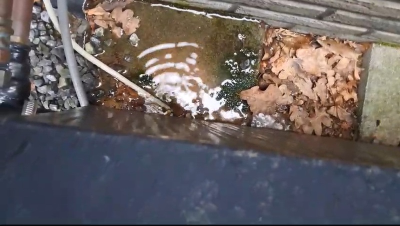 Afbeeldingslocatie: https://tweakers.net/i/2yeMReKnne9tS3K0AipK5Ektay8=/800x/filters:strip_icc():strip_exif()/f/image/vNfeIuJzFKi4RLmgBglmk6HH.jpg?f=fotoalbum_large