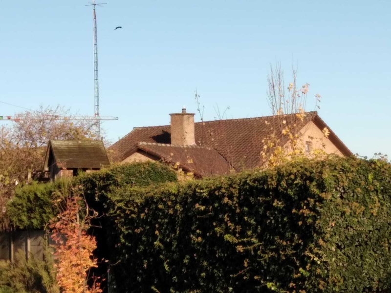 Afbeeldingslocatie: https://tweakers.net/i/2yfymJatgKoB2fMub933i5EJrHs=/800x/filters:strip_icc():strip_exif()/f/image/we6ggJXJSHlu2lJkxKSi9PDq.jpg?f=fotoalbum_large