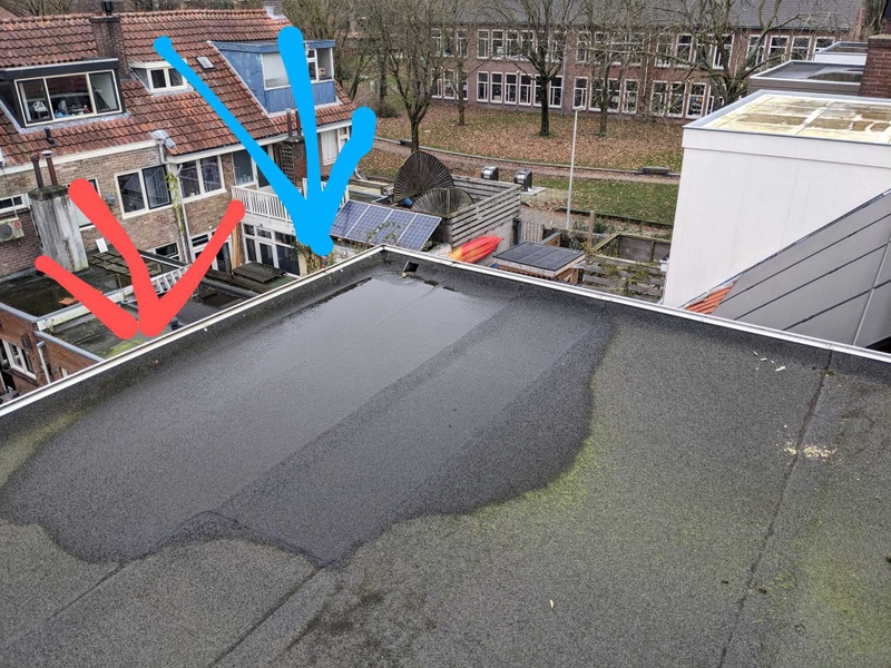 Afbeeldingslocatie: https://tweakers.net/i/2ygoWY1fylEE8DIKgKNsIdieQRE=/800x/filters:strip_icc():strip_exif()/f/image/AjFLKWasovmegsQ8BvEWFTNa.jpg?f=fotoalbum_large