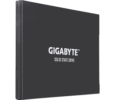Gigabyte UD Pro 256GB
