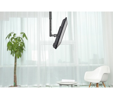 Newstar flatscreen plafondsteun