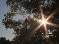 Lensflare dslr kitlenzen