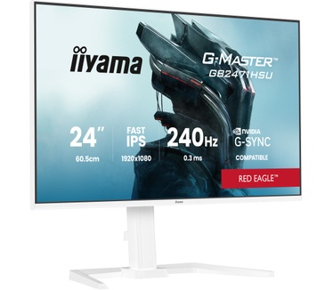 Iiyama GB2471HSU-W1