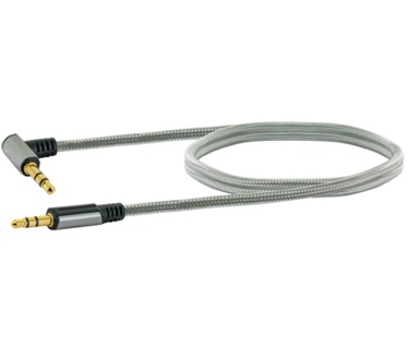 Schwaiger AIAU2010 413