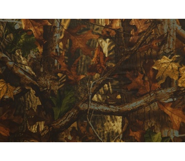 Buteo Photo Gear Regenhoes 2 voor objectief