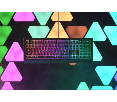 Razer Cynosa V2