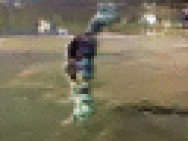 ai-video-gifs
