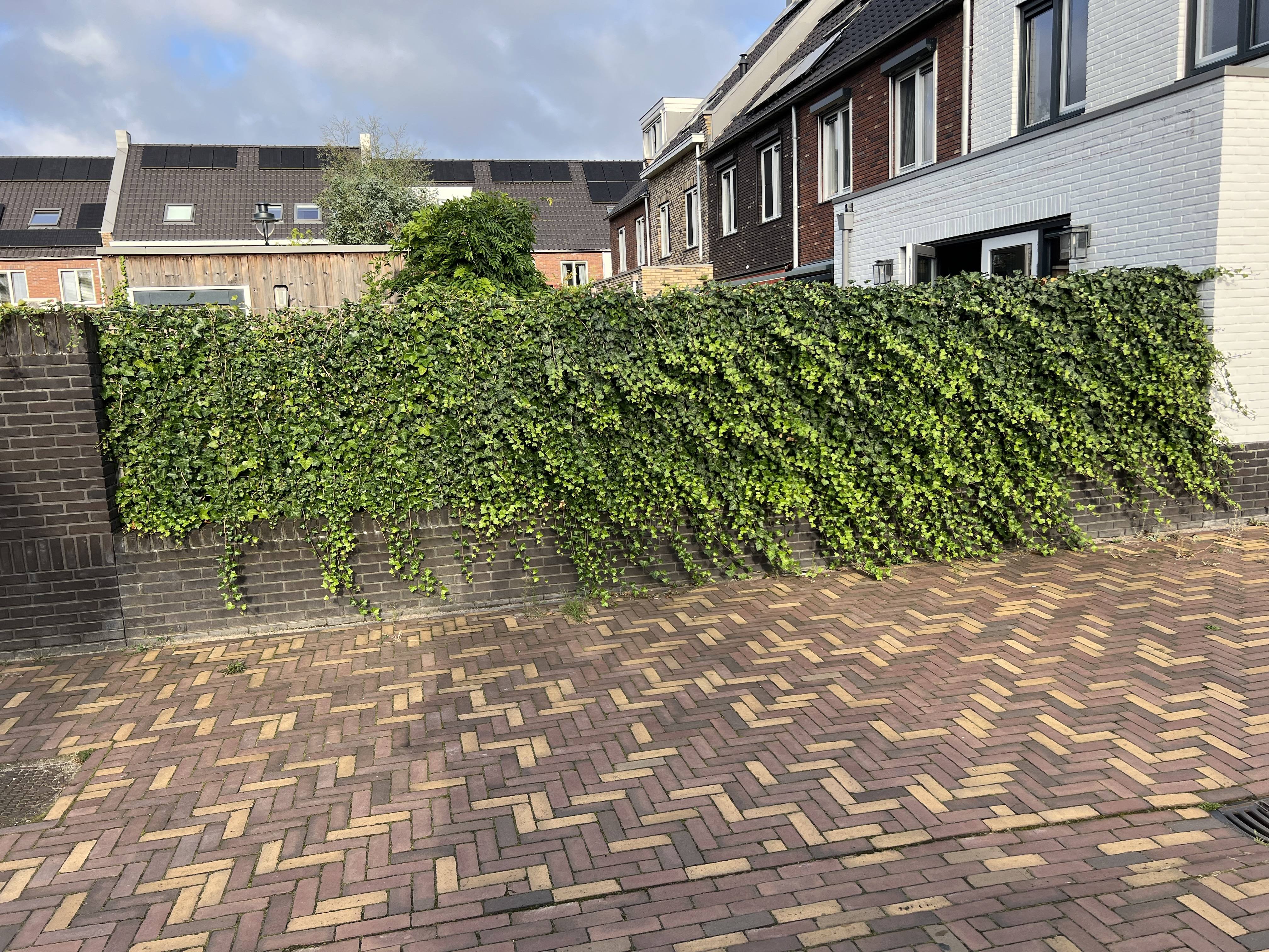 Poer op halfhoog muurtje metselen - Bouwen en klussen - GoT
