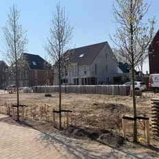 Afbeeldingslocatie: https://tweakers.net/i/3O9lEnvqB3wb3vsuUEIRR6cZgBk=/232x232/filters:strip_icc():strip_exif()/f/image/zejvRQsfzzk5REyu7y1pc9te.jpg?f=fotoalbum_tile