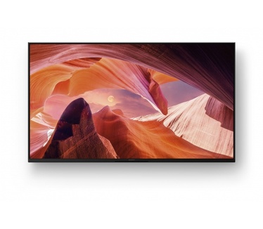 Sony FWD-43X80L
